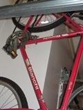 bianchi bikes