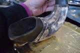 Unique pipe made from a horn