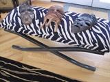 Zebra bench and tribal masks.