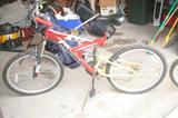 Bike Youth