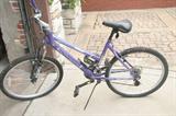 bike youth