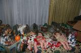 Vintage dolls & duck decoys