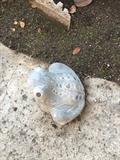 Cement frog 