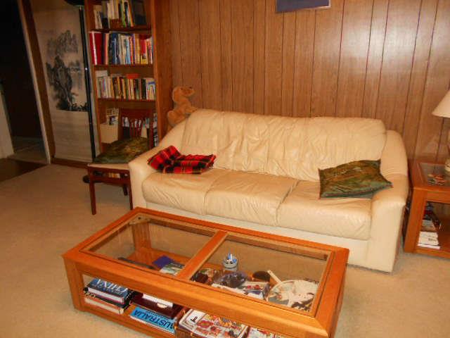 leather couch, coffee table, books, wall hangings 