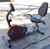 Recumbent Bike