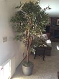 Ethan Allen Tree