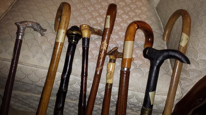 Collection of walking canes