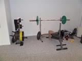 FREE WEIGHTS