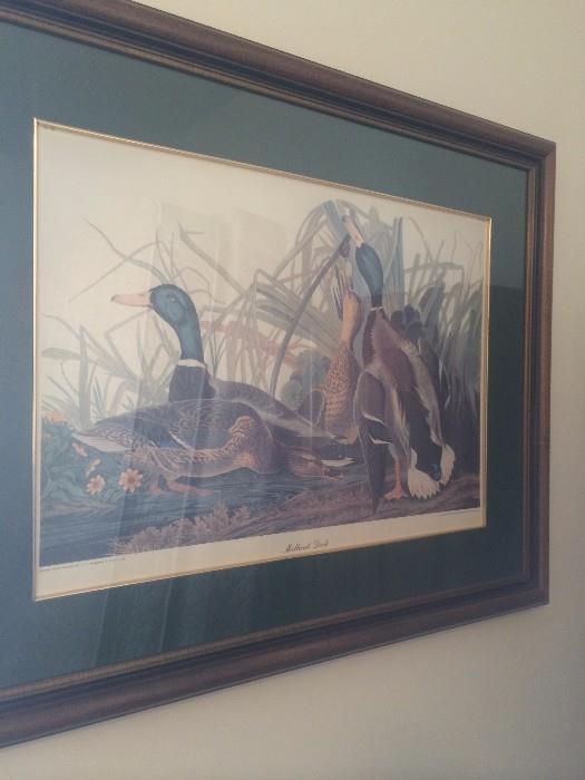 Framed duck art