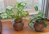 Artificial Potted Plants