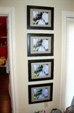 Framed photography