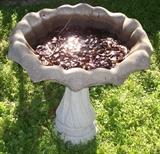 Bird Bath