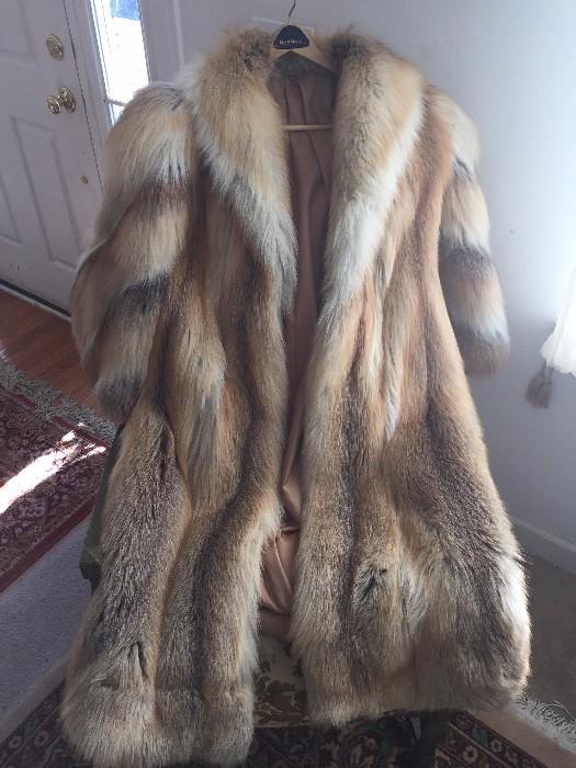 Golden Island Fox Fur $5000 