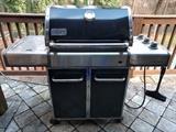 Big Daddy "Grand Classic" grill, by Nexgrill Industries, Inc., purchased 11 years ago.