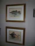 Framed Duck Prints