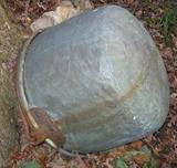 Antique Maple Bucket.