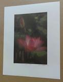 Signed art by Arthur Beck who was the Marlboro Man ad photographer