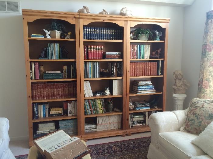 Knotty Pine Bookshelves, Vintage Books, & More