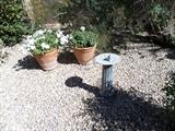 Outdoor Pots with Plants, iron sun dial