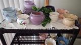 Lots of violet pots....
