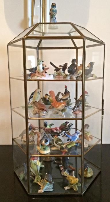 Vintage Miniature Bird Collection & Display Case