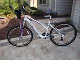 Ladies Schwinn cycle