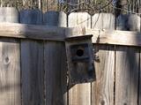 Bird house - back patio area