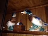 Ceramic ducks. There are two more that go with this set.