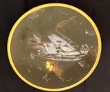 Collectible Plate Star Wars