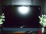 Insignia 46" Flat Screen TV