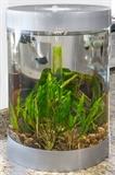Reef One Cylindrical Fish Tank 100.00