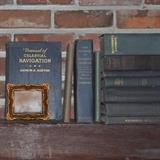 Assorted vintage books, gold framed image.