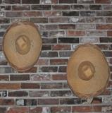 Old Mexican sombreros.