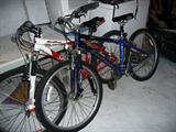 Pair of Bicycles