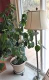 Large Plant & Floor Lamp