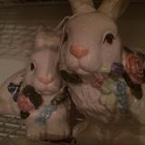 Darling bunnies in time for Easter