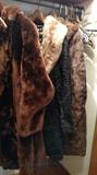 Vintage Furs....