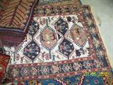 All are hand woven; 5 are actual
prayer rugs (one a door enclosure for a tent); 1 a Keyseri Kilim (the
largest--area rug); 1 a Tribal picture design, woven by the household to
show what their world looked like (animals, birds, etc.); 1 completely
unidentifiable save for the fact that it is 2 pieces stitched together and
was likely a "working " rug of some kind (on a horse, perhaps as a blanket
as I recall? ) and lastly, a Classic Tekke Turkomen.
has a certificate that shows is it over 50 years old. It has natural dyes
and solid borders.