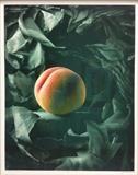 John Bonath, "Solitary Peach", Photograph, ed. 3/10, 29.5 x 23" (36x30 framed)