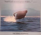 The Flying Humpback reproduction