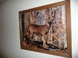 Deer Buck Photo with Frame