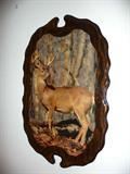 Deer Buck Photo on Wood