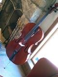 Cello