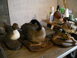 stuffed ducks