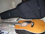 Estaban acoustic/electric guitar w/ case, stand & amp