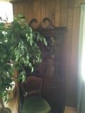 Vintage china cabinet, antique chair and faux plant