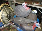 turkey decoys