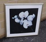 Large Color Floral Framed Picture 
