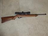 Ruger 10/22 .22 w/ Bushnell scope