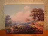 Bluebonnet giclee by Dalhart Windberg. Approx. 10" x 12"